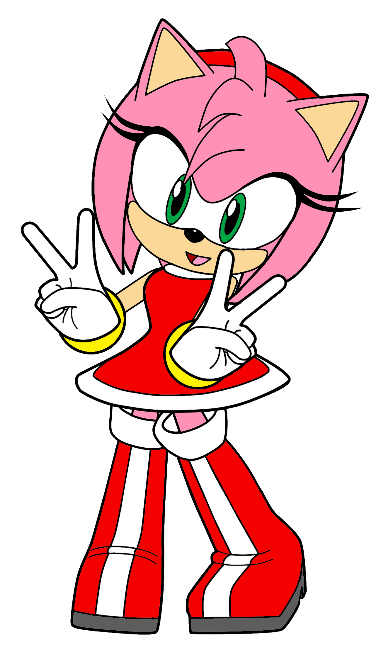 Amy Rose, Sonic Adventures Animated Series Wiki