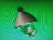 Enforcerizer.jpg (53 KB) Captain Chaku's Enforcerizer