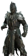 Polished Onyx