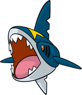 Sharpedo