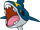 Sharpedo