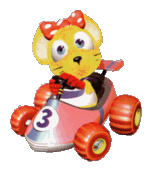 Pipsy in car (DKR DS)