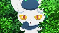 EP849 Meowstic hembra