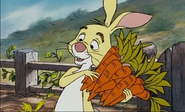 Rabbit and his carrots