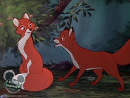 Tod meets Vixey