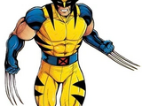 Wolverine