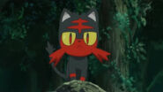 Litten