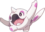 Cetoodle