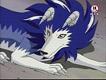 Tiger of the Wind.jpg