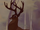 The Great Prince of the Forest