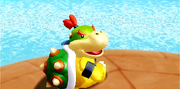 Bowser jrs revenge