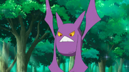 Zubat - Golbat - Crobat