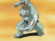 Machoke (anime only)