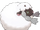 Wooloo