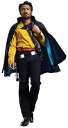 Young Adult Lando