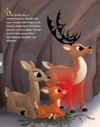 Rudolph is born