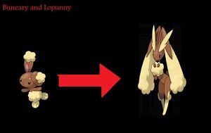 Buneary and Lopunny