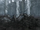 Four White Trees