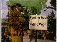 Owl in Pooh Corner