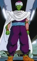 Adult Piccolo