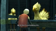 Chocobo in stables (FF Type-0)