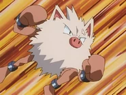 Primeape