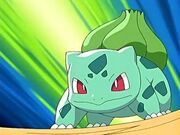 Bulbasaur