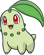 Chikorita if Ethan picks Totodile