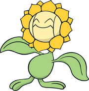 0192Sunflora Dream