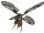 Gnasp