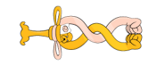 Fist Bump Magisword.png (14 KB) Fist Pump Magisword