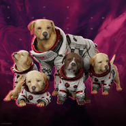 Cosmo and his puppies