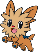 Lillipup