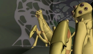 Netcasters-TCW