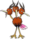 Dodrio