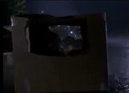 Riley abandoned