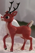 Adult Rudolph