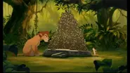Teen Simba in Lion King 1 1/2
