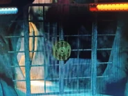 Door Gate