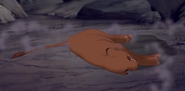 Sarabi knocked down by Scar