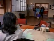 Tao's office