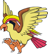 Pidgeot
