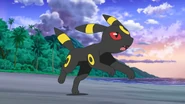 Eevee - Umbreon