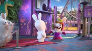 Queen Rabbid