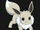 Taylor (eevee)