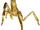 Kinrath