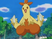 Combusken