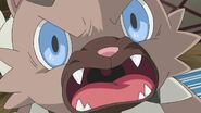 As a Rockruff, aggressive before its evolution.