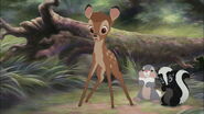 Bambi staring at Ronno