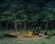 Camping